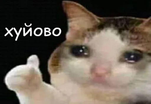 🥲 Стикер «Jojinella» для Telegram