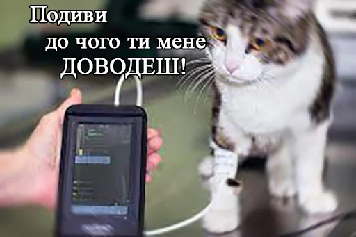 ⏱ Стикер «Jojinella» для Telegram