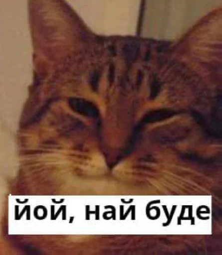 Стикерпак йой, най буде для Telegram — скачать