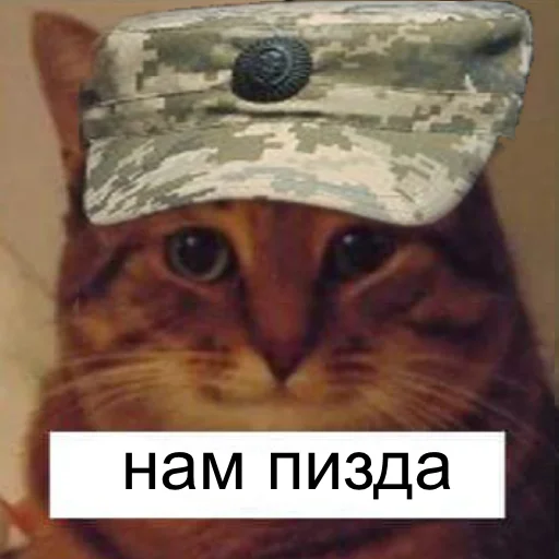 🤬 Стикер «йой, най буде» для Telegram