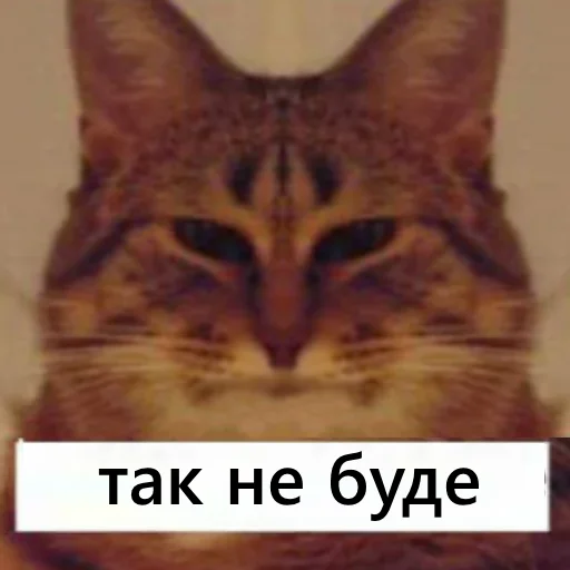 👺 Стикер «йой, най буде» для Telegram