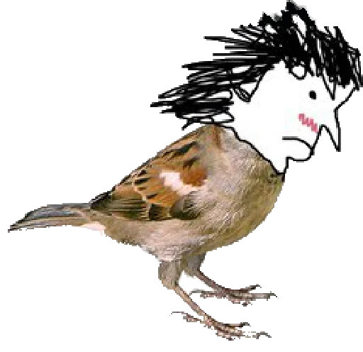 🐦 Стикер «Жожа это клёво» для Telegram