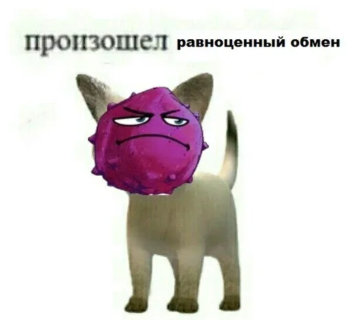 🍎 Стикер «Жожо стикеры» для Telegram