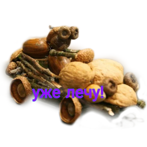 👌 Стикер «Жёлики» для Telegram