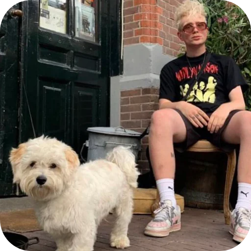 🐶 Стикер «Joost Klein» для Telegram