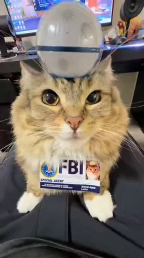🤩 Стикер «devens files» для Telegram