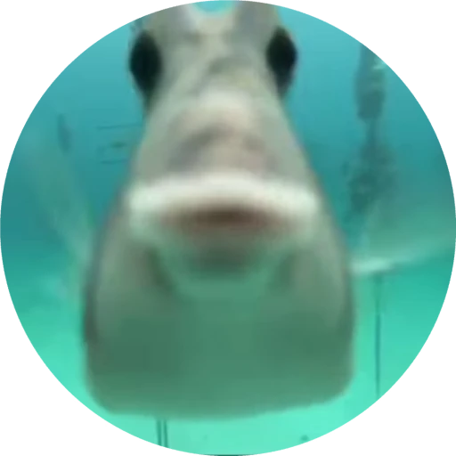 💋 Стикер «devens files» для Telegram