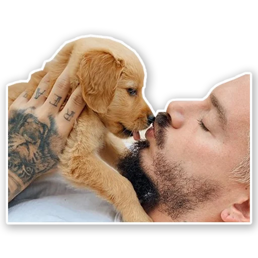 🐶 Стикер «J Balvin» для Telegram