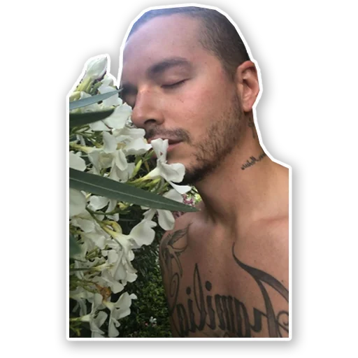 🌺 Стикер «J Balvin» для Telegram