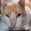 Стикер 11 Mrfresh