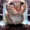 Стикер 6 Mrfresh