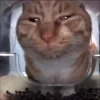 Стикер 9 Mrfresh