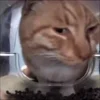 Стикер 8 Mrfresh