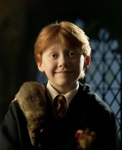 Стикерпак Harry Potter для Telegram