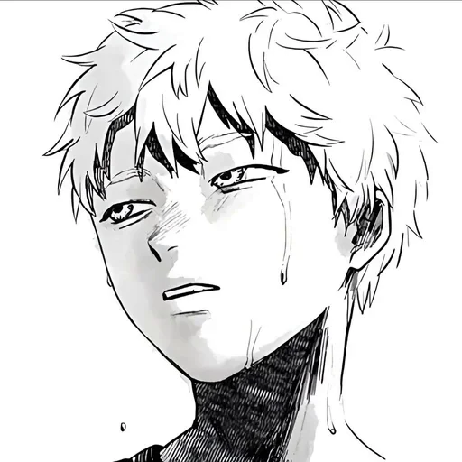 🌟 Стикер «The Summer Hikaru Died» для Telegram