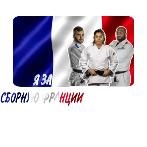 🇫🇷 Стикер «JUDO PLANET NEWS» для Telegram
