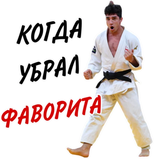 🤭 Стикер «Дзюдо Арт» для Telegram