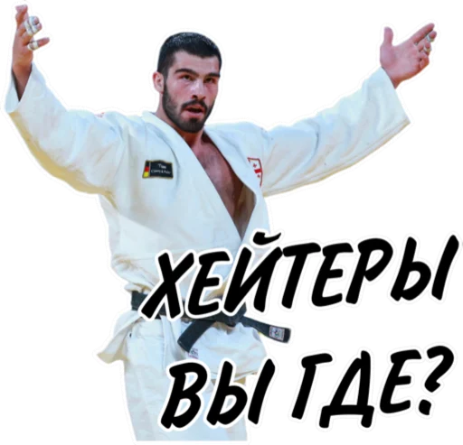 🤔 Стикер «Дзюдо Арт» для Telegram