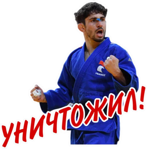 💥 Стикер «Дзюдо Арт» для Telegram