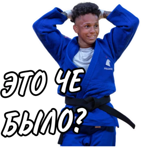 😳 Стикер «Дзюдо Арт» для Telegram
