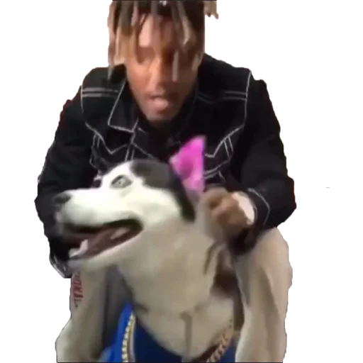 🐕 Стикер «Juice WRLD» для Telegram