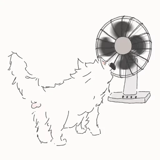 🐈 Стикер «-2» для Telegram