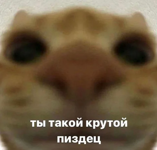 😼 Стикер «julik» для Telegram