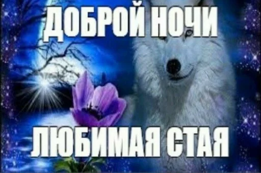 💤 Стикер «julik» для Telegram