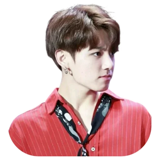 😡 Стикер «Jung-kook / bts» для Telegram