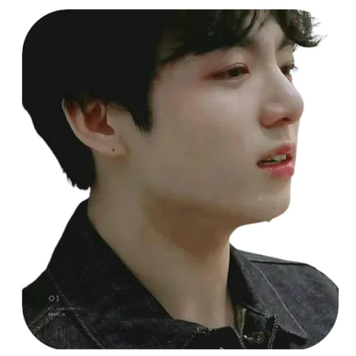 😭 Стикер «Jung-kook / bts» для Telegram