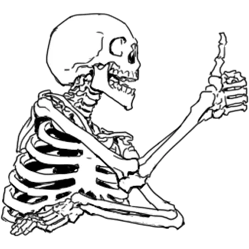 👍 Стикер «Груда костей Skulls» для Telegram