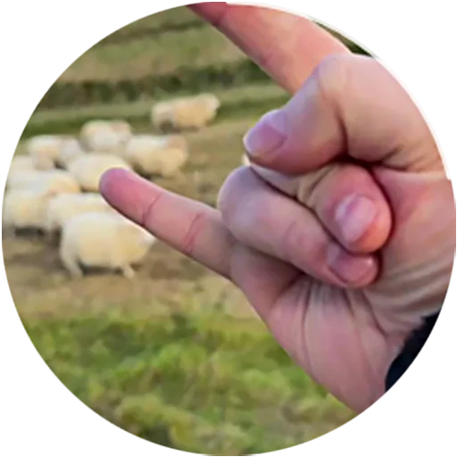 🤘 Стикер «Вдали, над деревней летали собаки» для Telegram