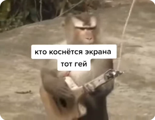 🌟 Стикер «TF» для Telegram