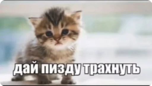 🌟 Стикер «TF» для Telegram
