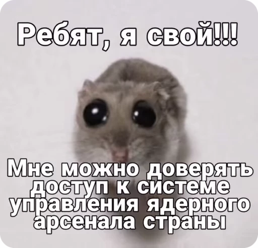 🌟 Стикер «TF» для Telegram
