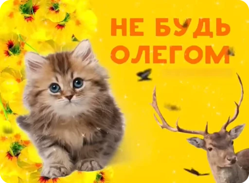 🌟 Стикер «TF» для Telegram