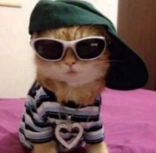 ❤️ Стикер «кошечки» для Telegram