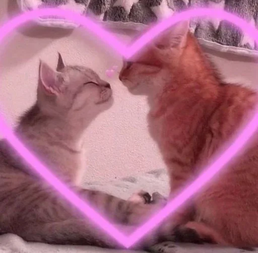 ❤️ Стикер «кошечки» для Telegram