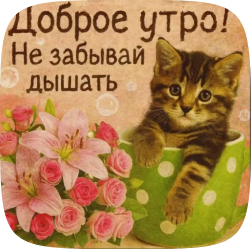 🌟 Стикер «окшурки» для Telegram