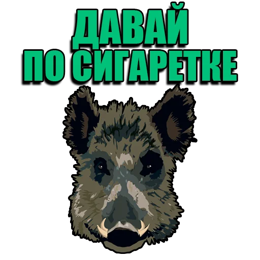 🐗 Стикер «Кабанчик» для Telegram