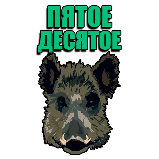 🐗 Стикер «Кабанчик» для Telegram
