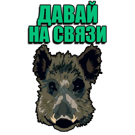 🐗 Стикер «Кабанчик» для Telegram