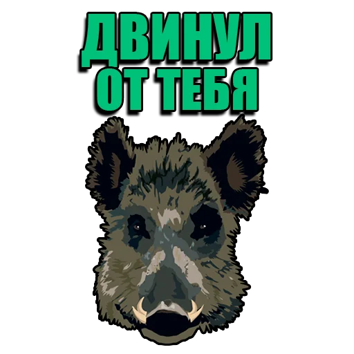 🐗 Стикер «Кабанчик» для Telegram