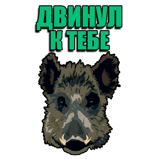🐗 Стикер «Кабанчик» для Telegram