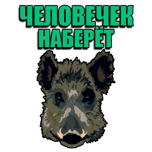 🐗 Стикер «Кабанчик» для Telegram