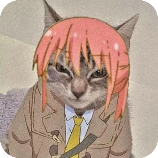 🐱 Стикер «KABAYASHI» для Telegram