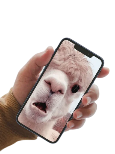 😵‍💫 Стикер «Круглый квадрат» для Telegram