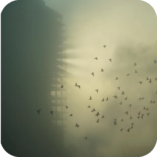🐦 Стикер «Neuro» для Telegram