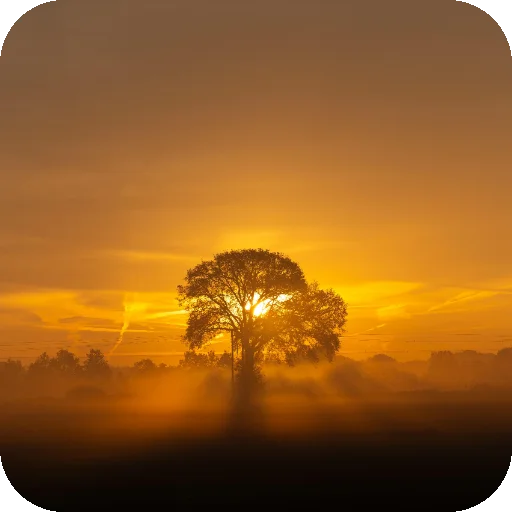 🌇 Стикер «Neuro» для Telegram