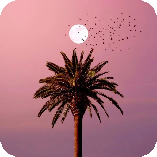 🌌 Стикер «Neuro» для Telegram
